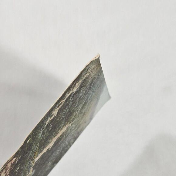 Antique 1920s Post Card Of Mount Lowe Roat To Alpine Tavern California LA - Picture 4 of 7